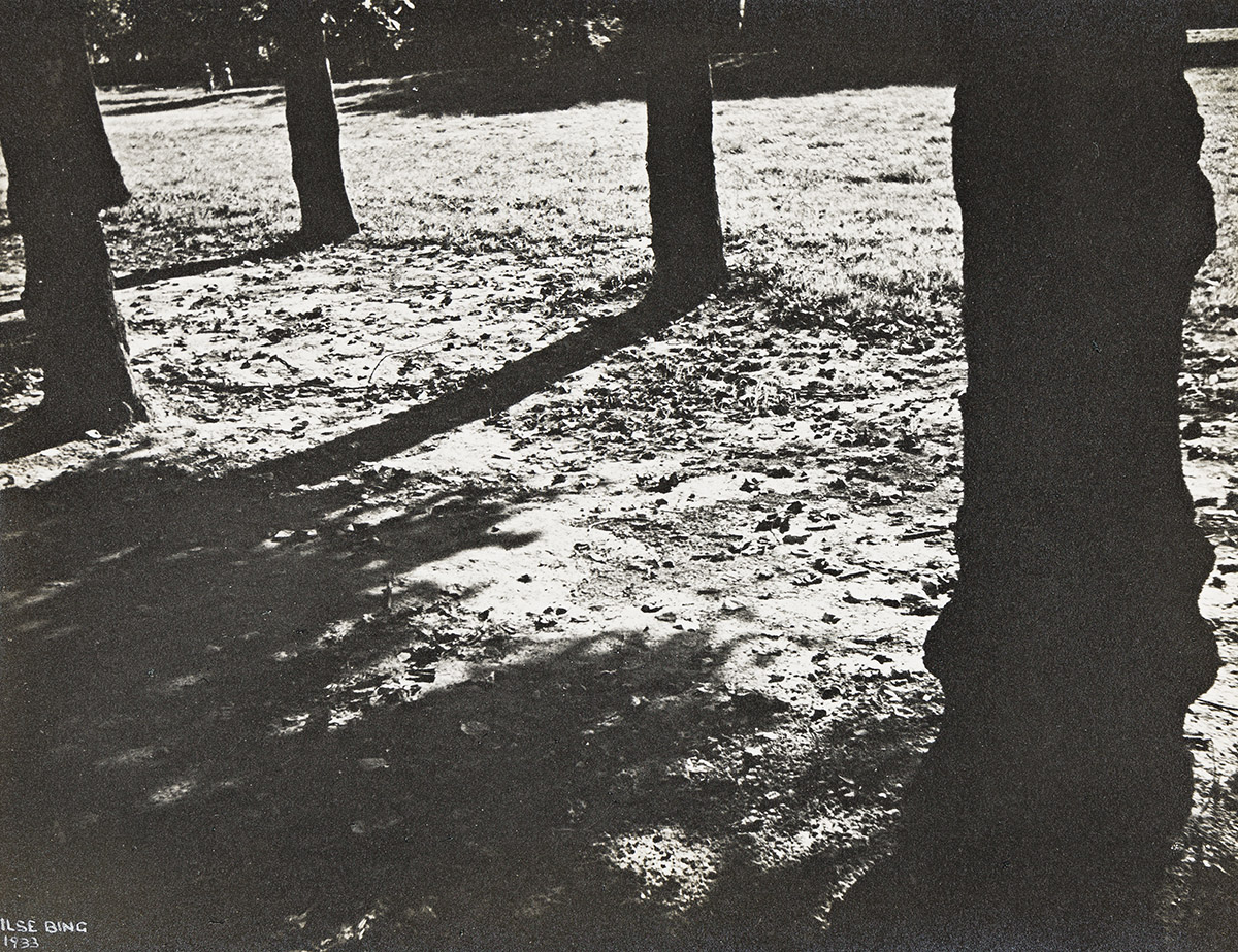 ILSE BING (1899-1998) Blérancourt Tree Shadows.